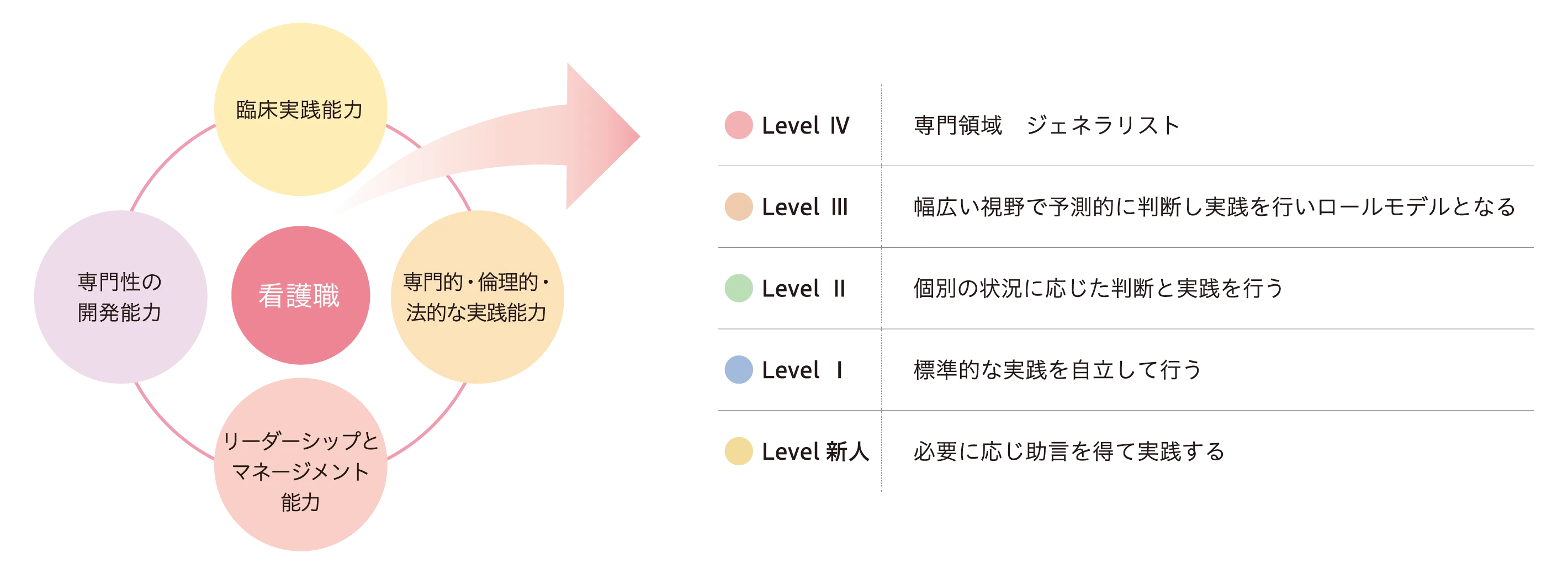 IMS看護実践能力ラダーシステム概念図